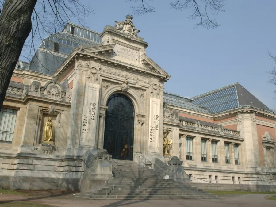Musée des beaux-arts