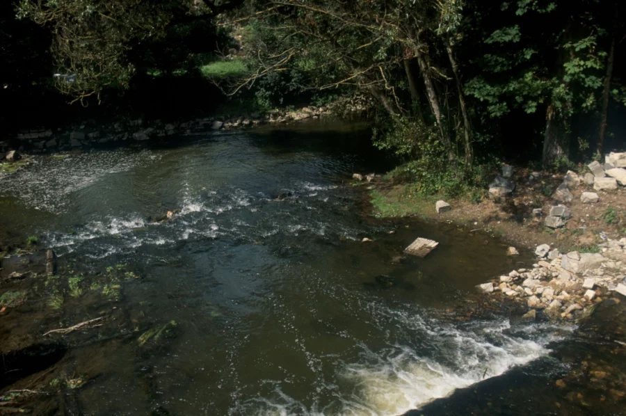 Cours d'eau