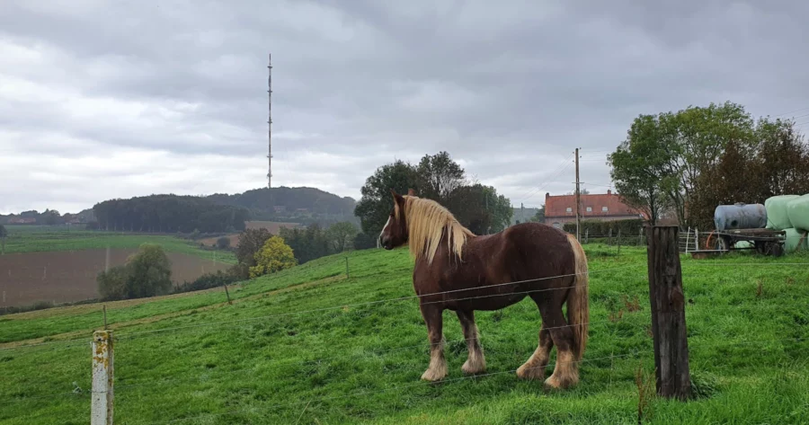 Les Monts des Flandres