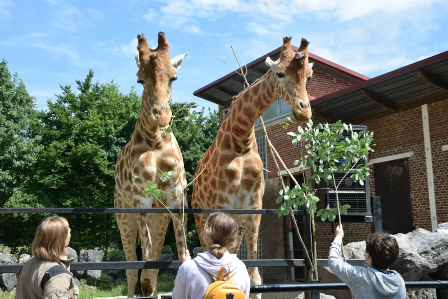 Zoo de Maubeuge
